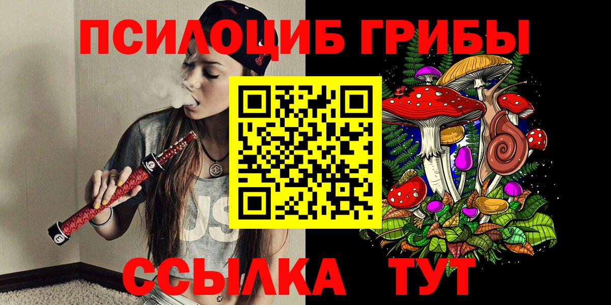 Кириши  Псилоцибиновые грибы GOLDEN TEACHER  Галлюциногенные грибы Psilocybe  Вход с VPN 