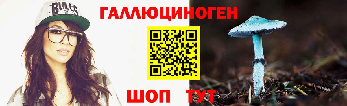 Псилоцибиновые грибы мицелий Кириши